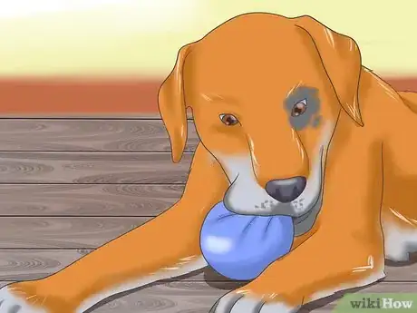 Image titled Deal with Severe Motion Sickness in Dogs Step 7