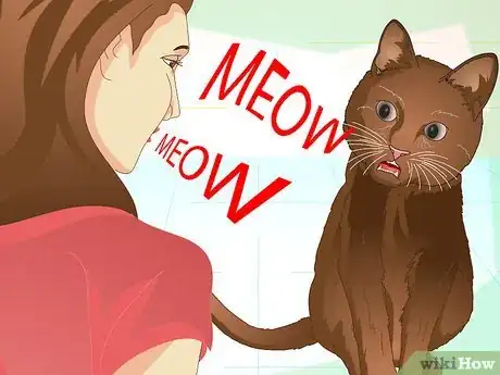 Image titled Teach Your Cat to Do Tricks Step 15
