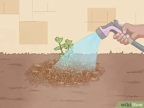 Image titled Build a Living Fence Step 13