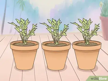 Image titled Grow a Sustainable Garden Step 12