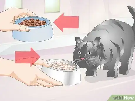 Image titled Diagnose Urinary Tract Disease in Cats Step 9