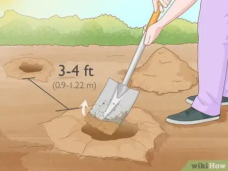 Image titled Grow and Care for Peonies Step 5