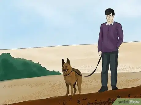 Image titled Avoid Losing Your Dog Step 1