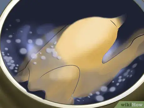 Image titled Know How to Make a Perfect Healthy and Safe Homemade Meal Plan for Your Dog Step 4