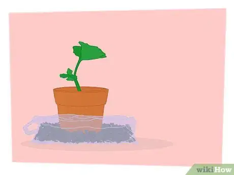 Image titled Propagate Your Plants Step 10