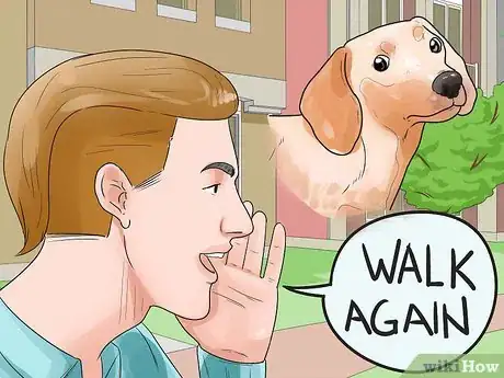 Image titled Walk Two Dogs Step 9