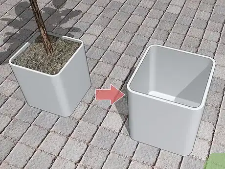 Image titled Care for a Fiddle Leaf Fig Step 12