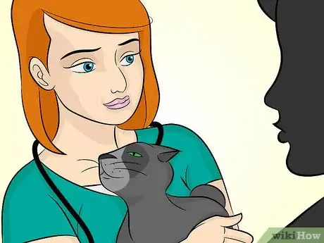 Image titled Prevent Feline Upper Respiratory Illness Step 5