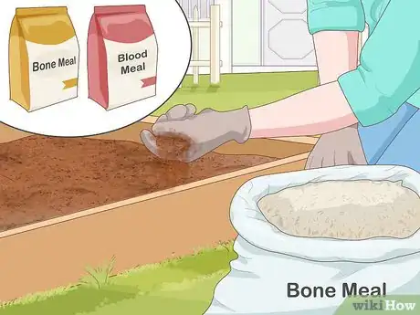 Image titled Grow Ghost Peppers Step 4