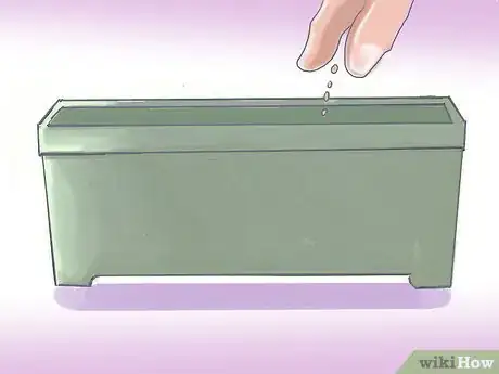 Image titled Plant Pansies in Containers and Pots Step 5