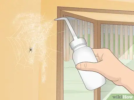 Image titled Keep Spiders Away Step 16