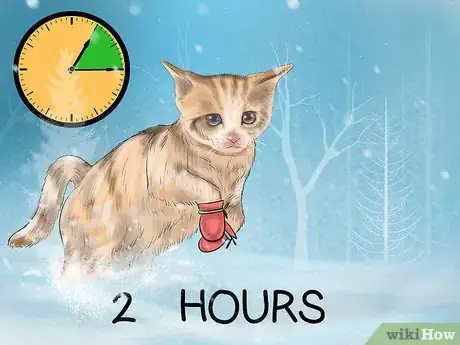 Image titled Get a Cat Used to Snow Step 11