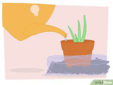 Image titled Propagate Your Plants Step 12