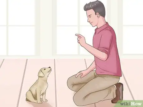 Image titled Puppy Proof Your Bedroom Step 14