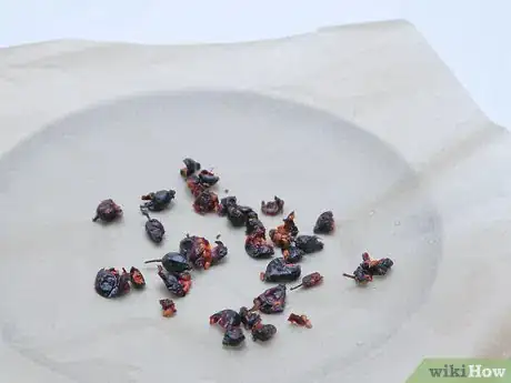 Image titled Make Rosehip Tea Step 8