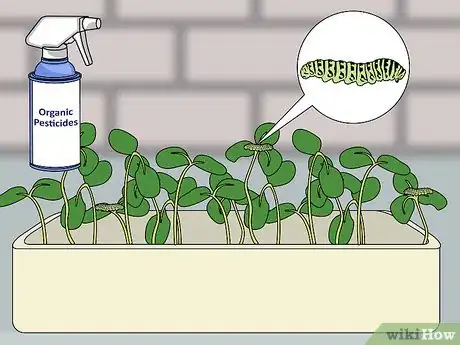 Image titled Harvest American Cress Step 7