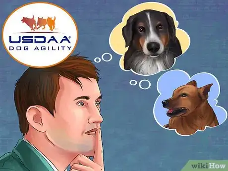 Image titled Enter a Dog in an Agility Trial Step 5