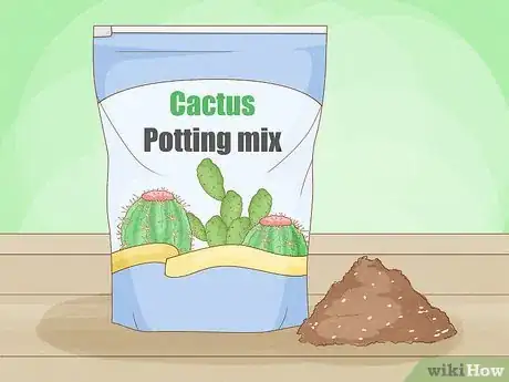 Image titled Grow Agave Plants Step 10