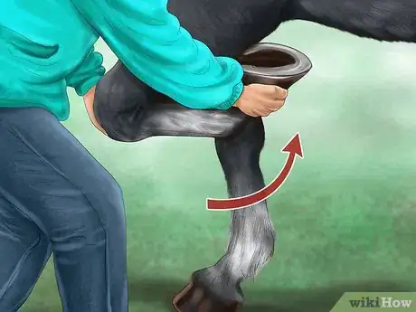 Image titled Maintain Good Hoof Care on Your Horse Step 6