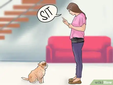 Image titled Care for an Affenpinscher Step 1