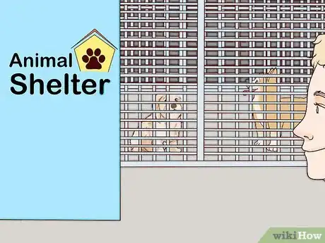 Image titled Choose a Small Dog Step 6