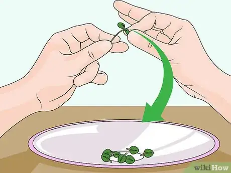 Image titled Harvest American Cress Step 11