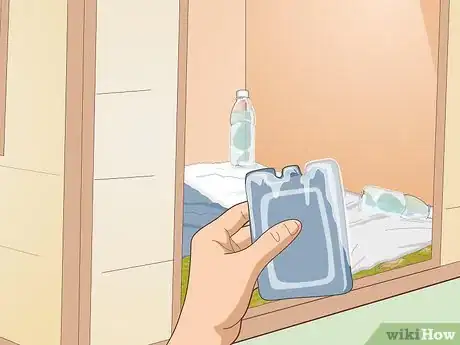 Image titled Care for an Outdoor Guinea Pig Step 26