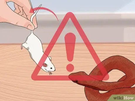 Image titled Look After a Venomous Snake Step 11