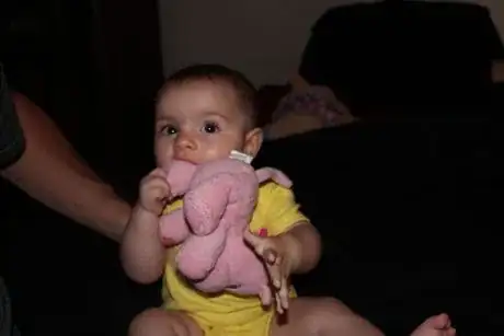 Image titled 225265 18.JPG