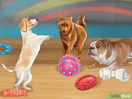 Image titled Relieve Your Dog's Boredom Step 8