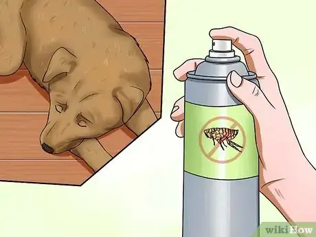 Image titled Diagnose Canine Allergies Step 5