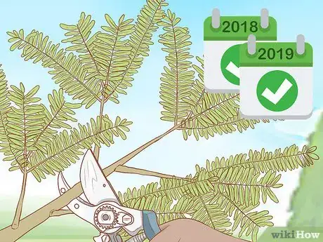 Image titled Plant a Mesquite Tree Step 17