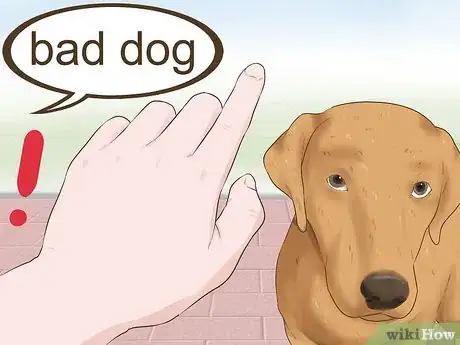Image titled Cope With a Bad Dog Step 5