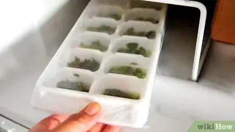 Image titled Freeze and Preserve Herbs in Olive Oil Step 8
