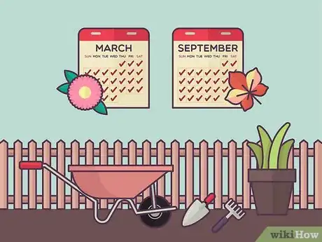 Image titled Plant Daylilies Step 5