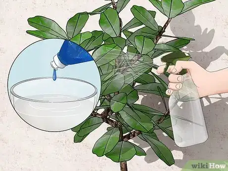 Image titled Control Mealybugs on Indoor Plants Step 6