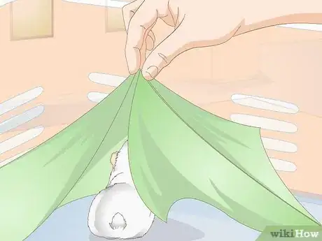 Image titled Choose Toys for a Guinea Pig Step 9