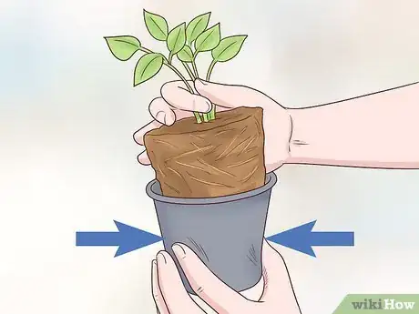 Image titled Plant Landscape Plants Step 15