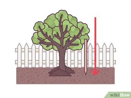 Image titled Stake an Apple Tree Step 7