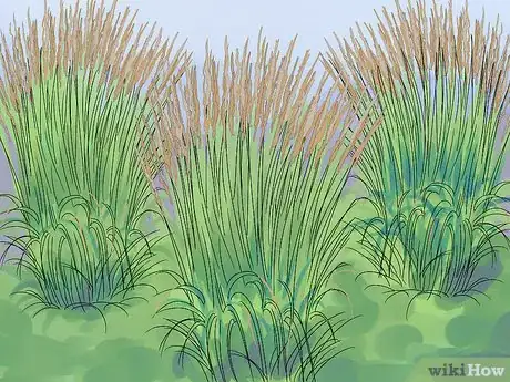 Image titled Plant Landscape Grasses Step 1
