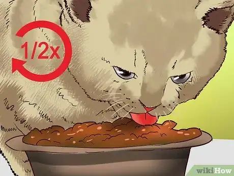 Image titled Prevent Kidney Disease in Cats Step 2