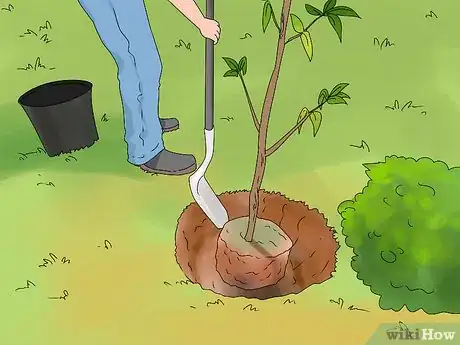 Image titled Landscape Step 6