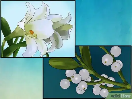 Image titled Prevent an Energetic Kitten from Hurting Itself Step 4