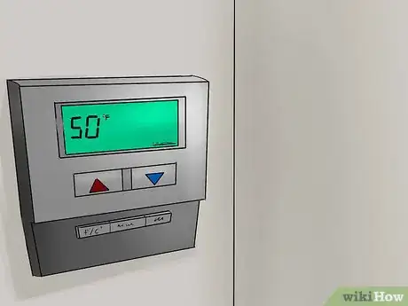 Image titled Grow Cannas Step 15