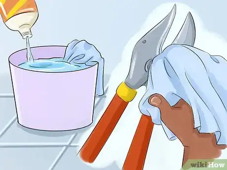 Image titled Prune a Redbud Tree Step 6