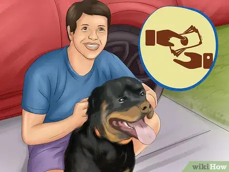 Image titled Adopt a Rottweiler Step 3