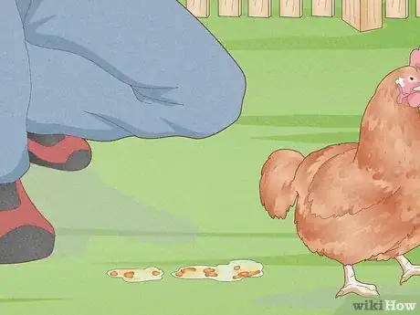 Image titled Prevent Diseases in Chickens Step 9
