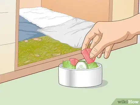 Image titled Care for an Outdoor Guinea Pig Step 29