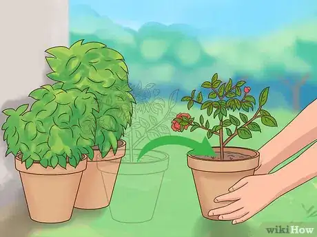 Image titled Maintain a Planter Step 12