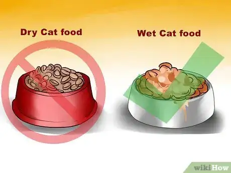 Image titled Adopt an Old Cat Step 12